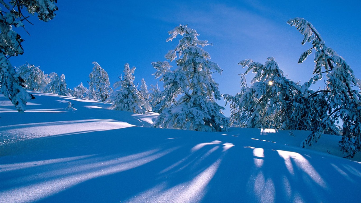 Winter Snow Wallpaper (3) #14 - 1366x768