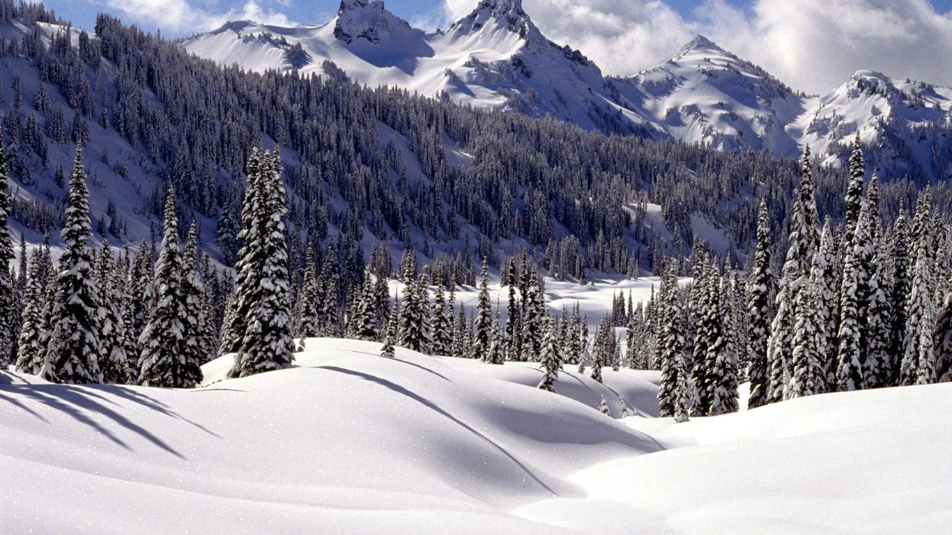 冬天雪景壁紙(三) #18 - 1366x768