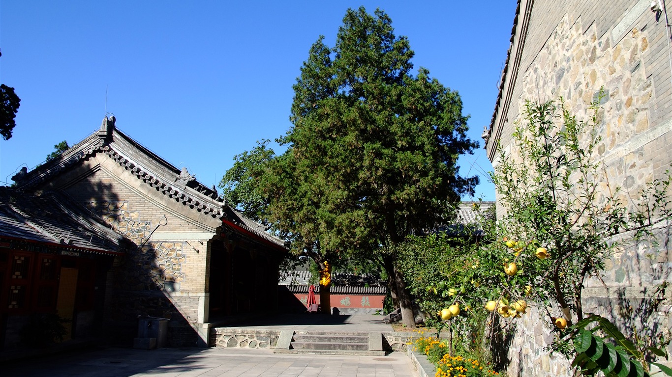 京西古蹟 慈善寺 (螺紋鋼作品) #10 - 1366x768