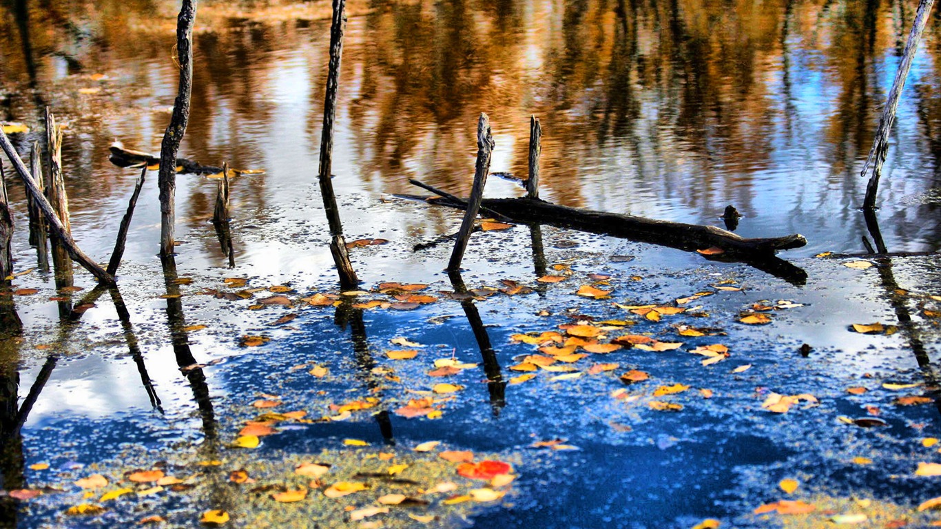 Krásně poskytnuté Krajina tapety (3) #1 - 1366x768