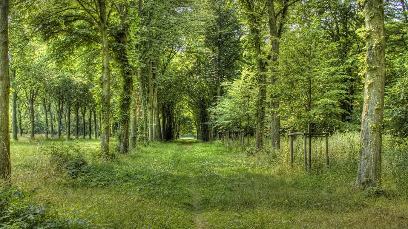 Beautifully rendered scenery wallpaper (3) #6 - 1366x768