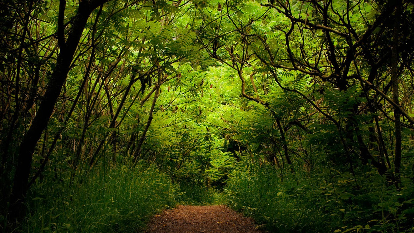 Wunderschön gerenderten Landschaften Wallpaper (3) #14 - 1366x768