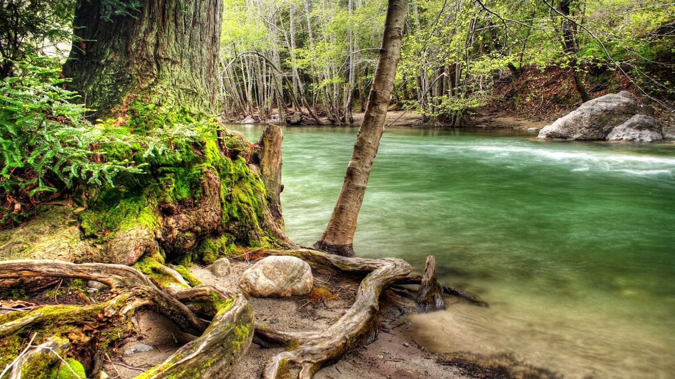 Krásně poskytnuté Krajina tapety (3) #19 - 1366x768