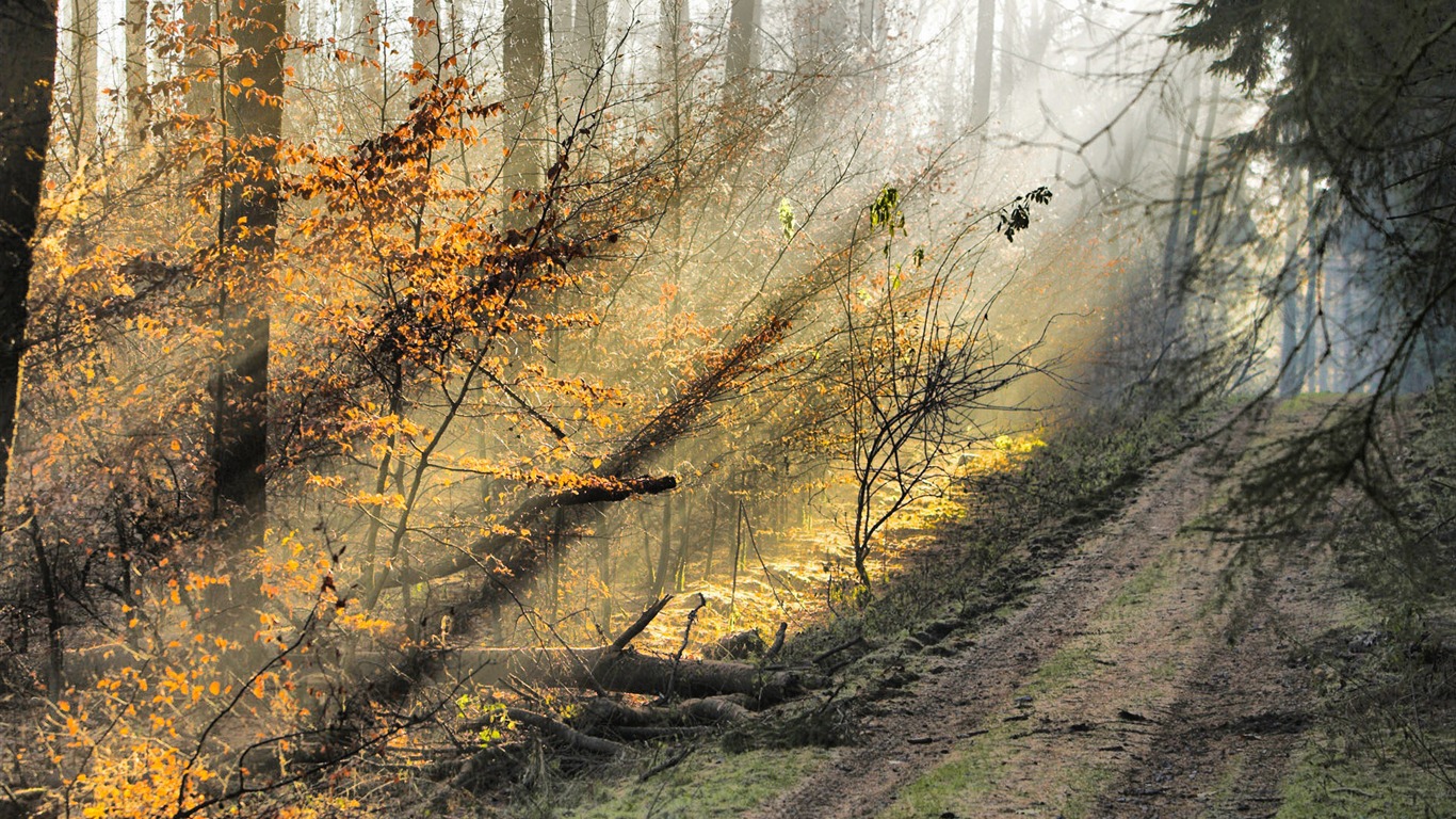 Beautifully rendered scenery wallpaper (4) #7 - 1366x768
