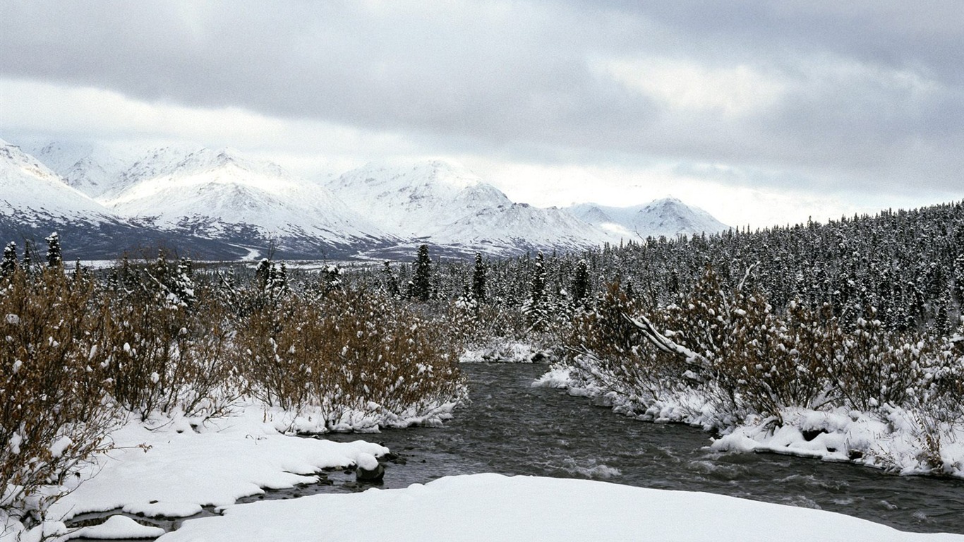 Sníh tapety sbírka (1) #7 - 1366x768