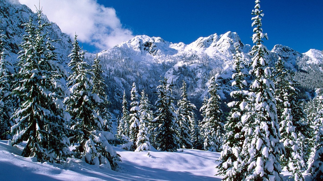雪山雪景合集 壁纸(一)15 - 1366x768