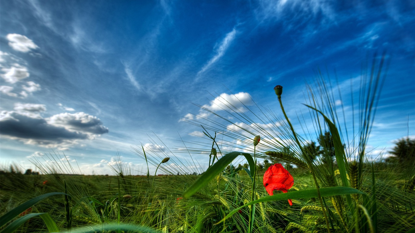 Wunderschön gerenderten Landschaften Wallpaper (6) #15 - 1366x768