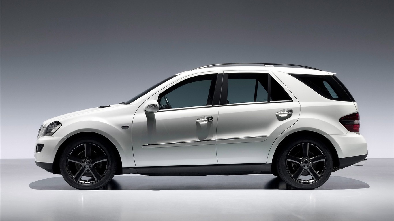 Mercedes tapety (4) #18 - 1366x768
