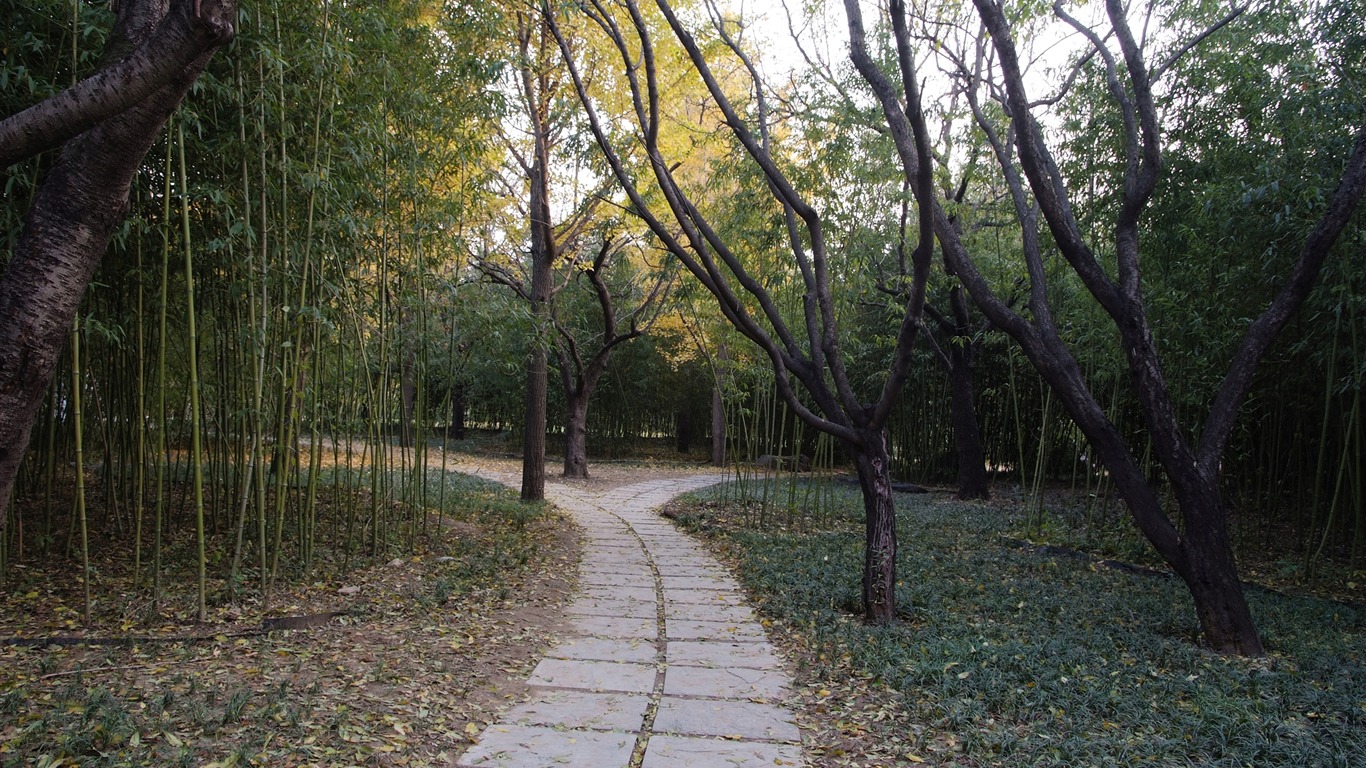 Xiangshan Herbst Garten (Bewehren) #9 - 1366x768