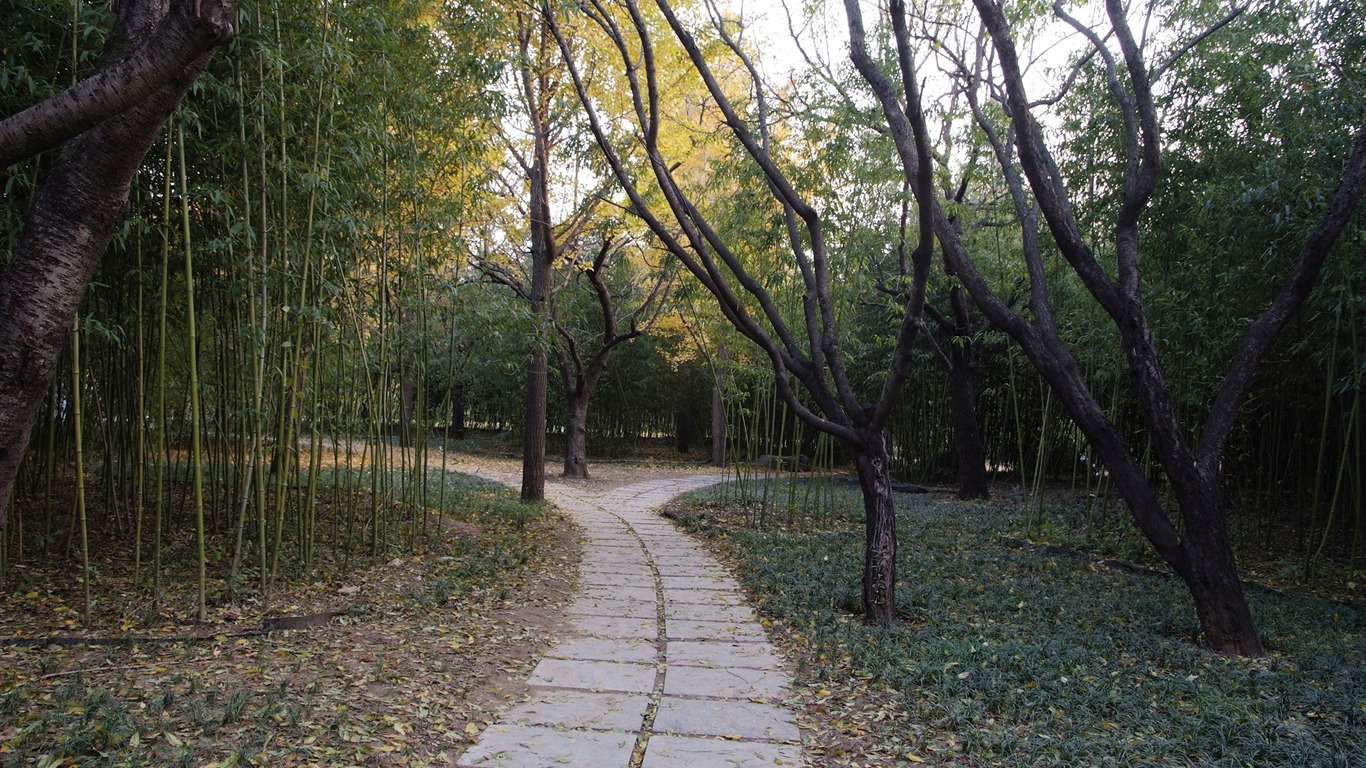 Xiangshan podzimní zahrada (prutu práce) #9 - 1366x768