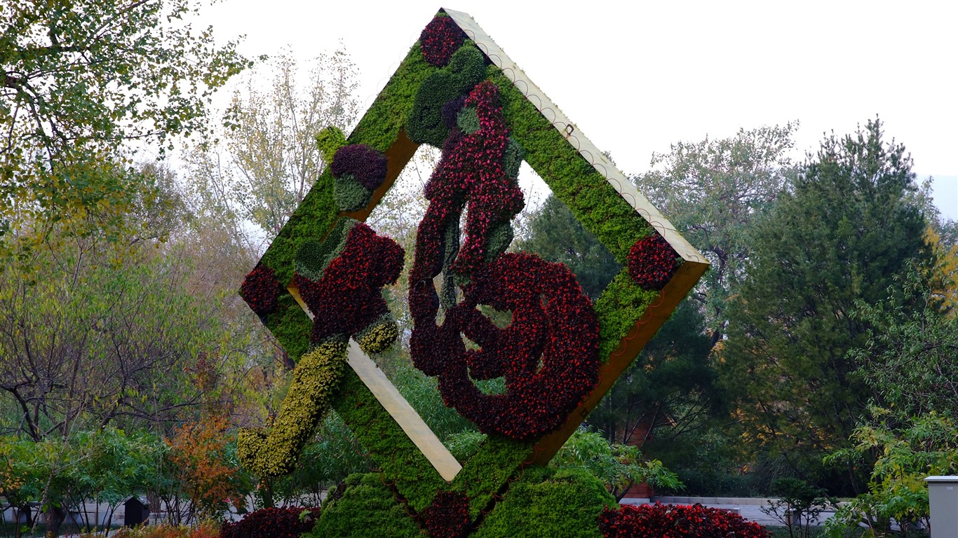 秋日的香山植物園 (螺紋鋼作品) #10 - 1366x768