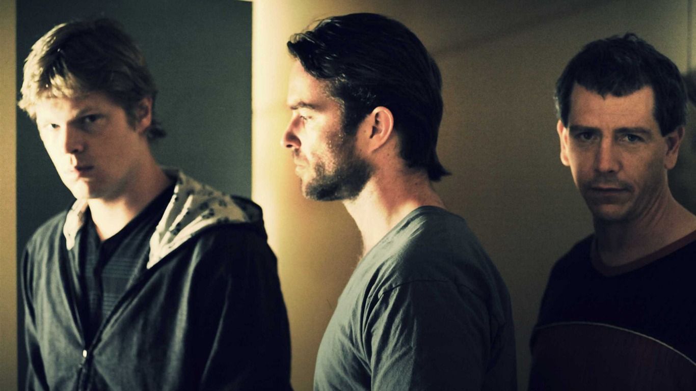 Animal Kingdom HD tapetu #17 - 1366x768