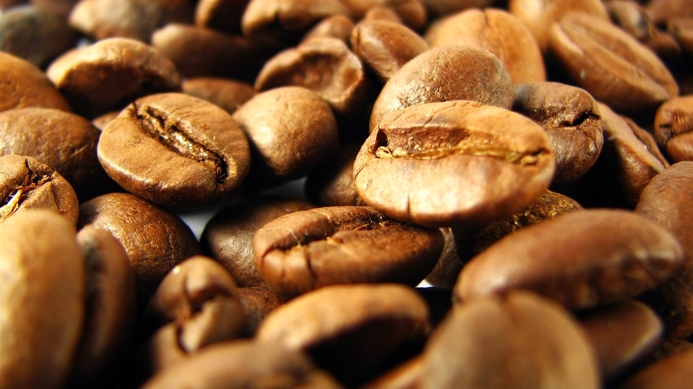 Coffee feature wallpaper (1) #8 - 1366x768