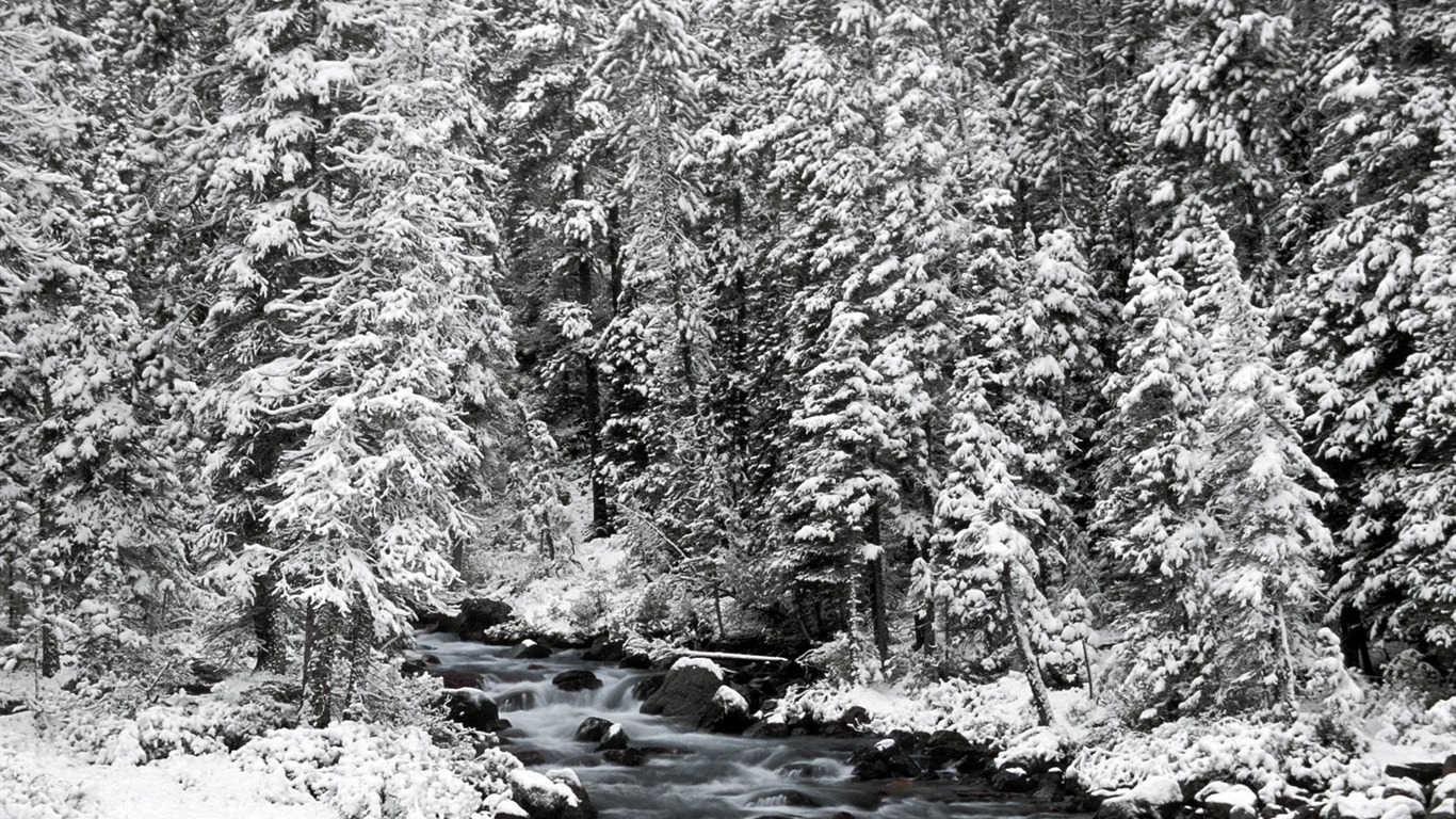 雪山雪景合集 壁紙(三) #2 - 1366x768