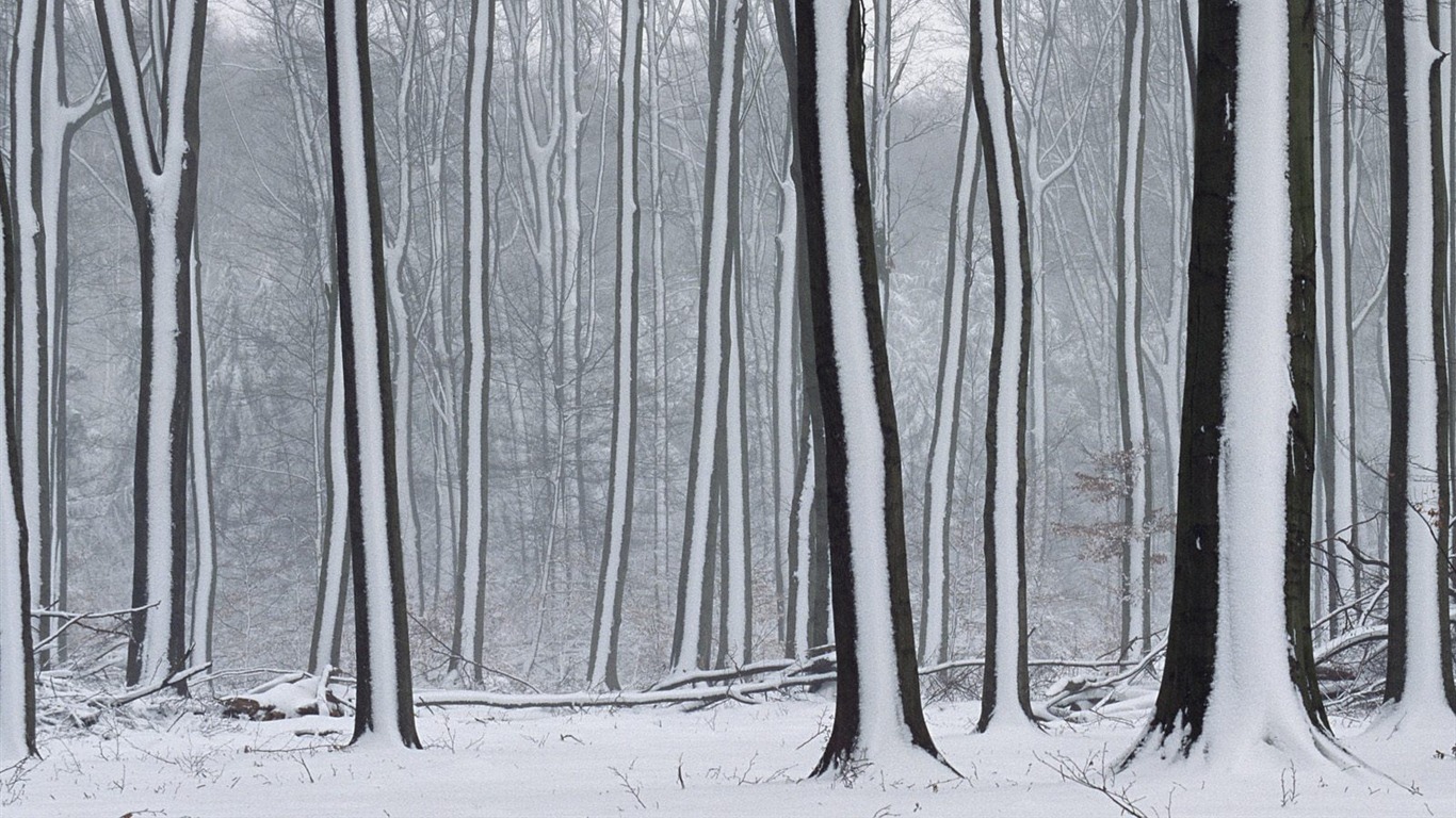 雪山雪景合集 壁紙(三) #9 - 1366x768