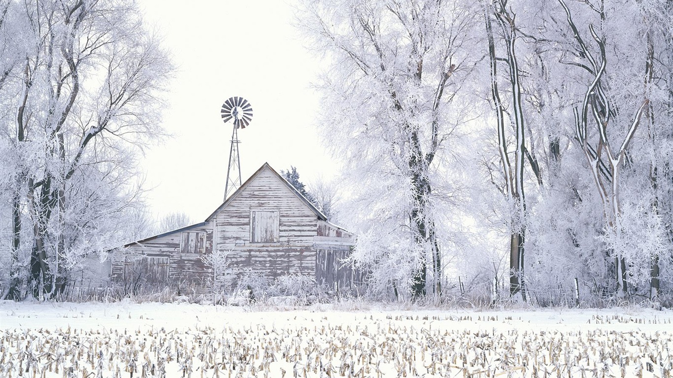 雪山雪景合集 壁紙(三) #10 - 1366x768