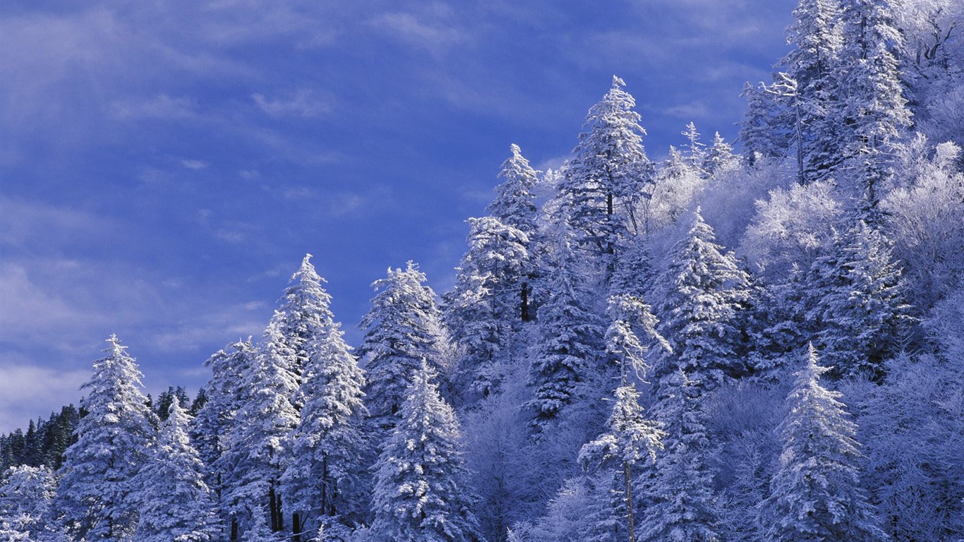 雪山雪景合集 壁紙(三) #14 - 1366x768