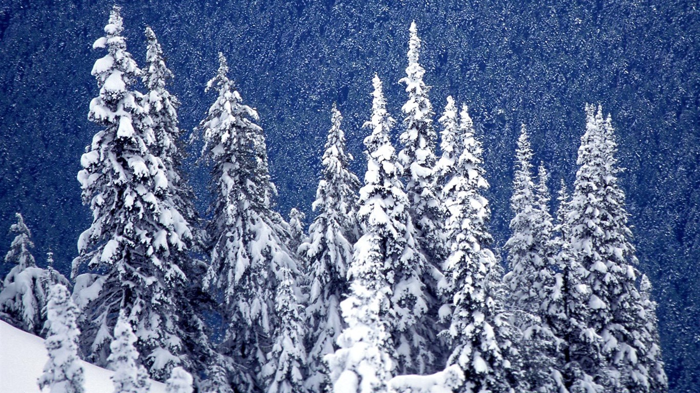 雪山雪景合集 壁紙(三) #15 - 1366x768