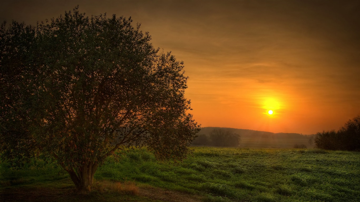 Wunderschön gerenderten Landschaften Wallpaper (7) #11 - 1366x768