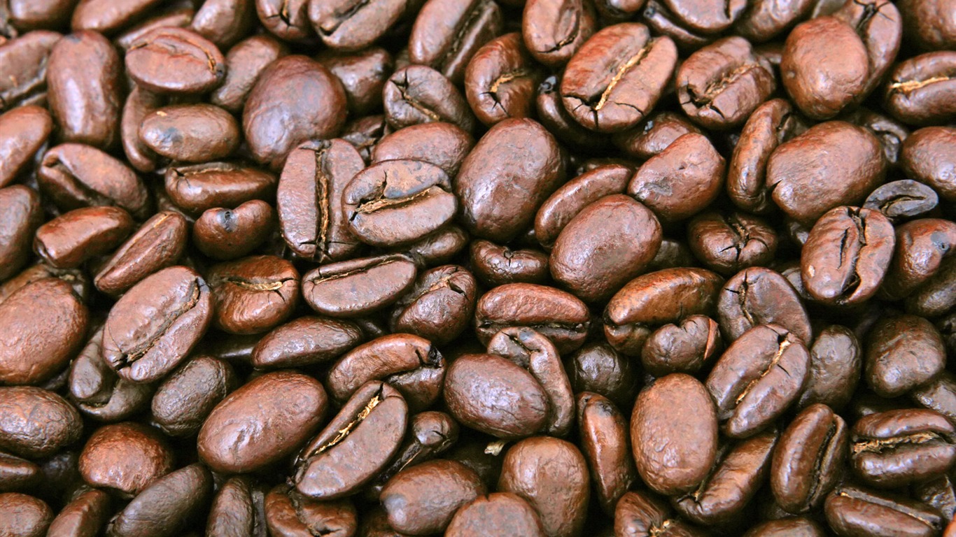 Coffee feature wallpaper (2) #7 - 1366x768