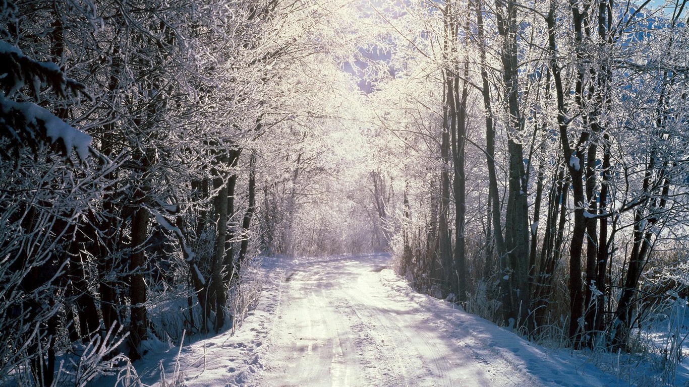 Sníh tapety sbírka (4) #12 - 1366x768
