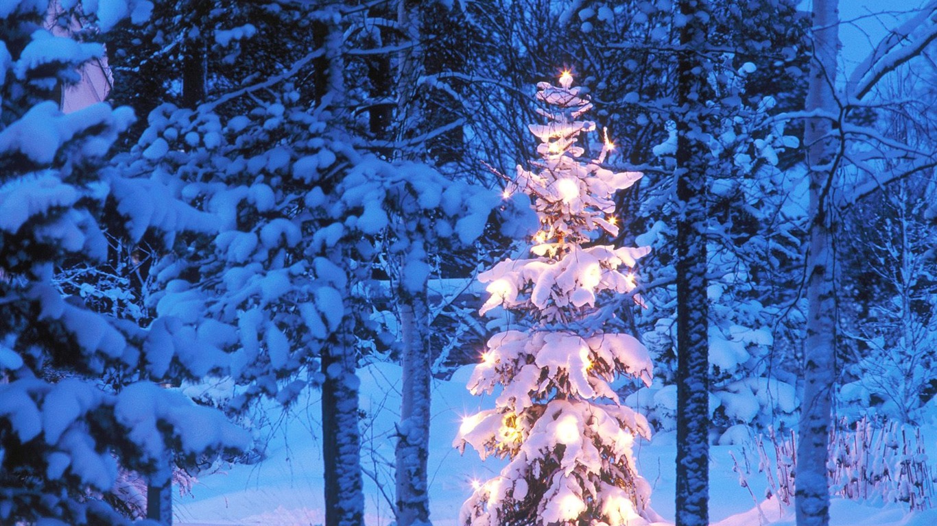 雪山雪景合集 壁纸(四)16 - 1366x768