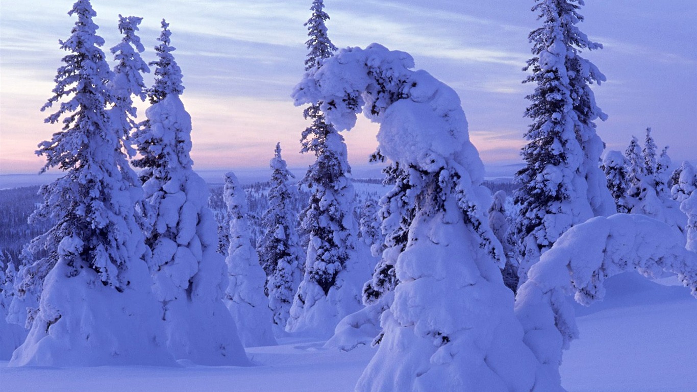Snow wallpaper collection (4) #17 - 1366x768