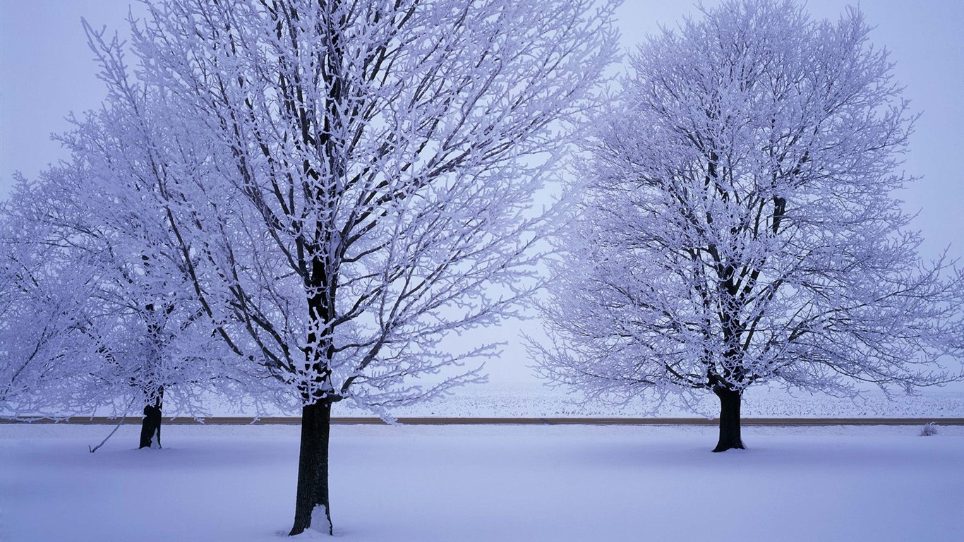 Snow wallpaper collection (4) #18 - 1366x768