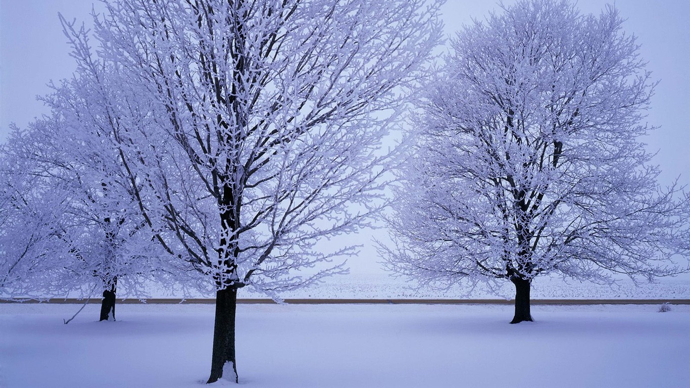 雪山雪景合集 壁纸(四)18 - 1366x768