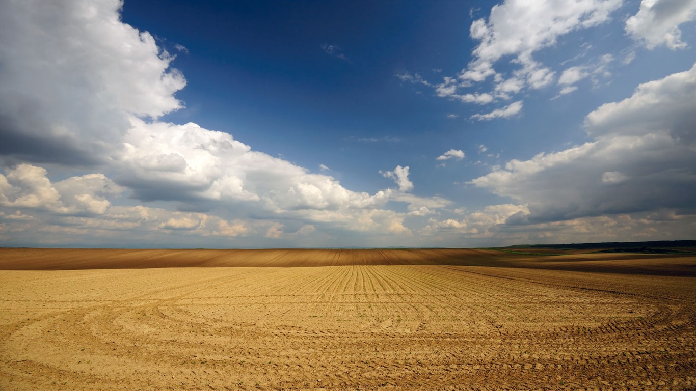 Krásně poskytnuté Krajina tapety (8) #3 - 1366x768