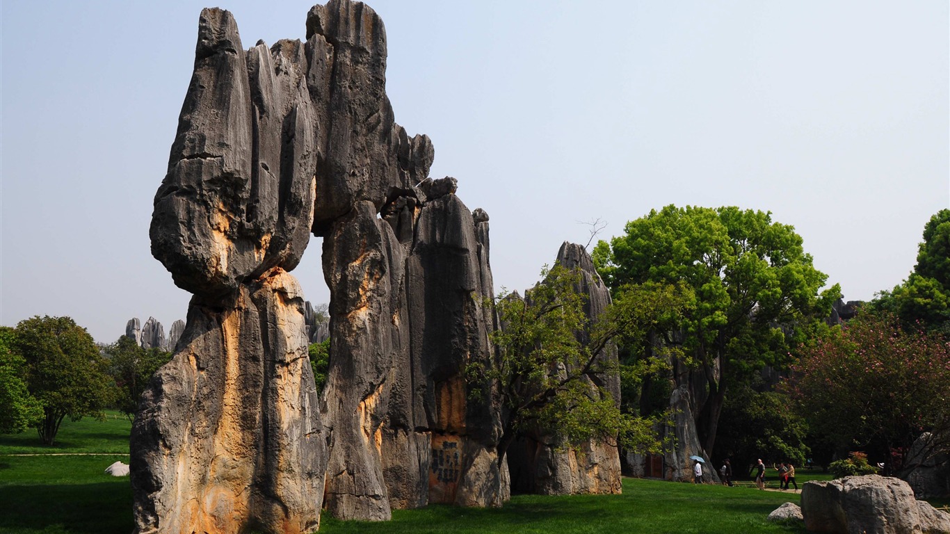 Stone Lesní v souladu Yunnan (1) (Khitan vlk práce) #2 - 1366x768