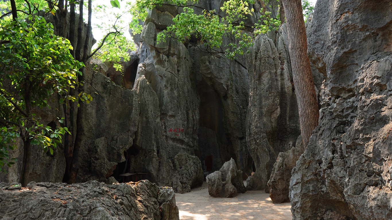 Bosque de Piedras de Yunnan en línea (1) (obras Khitan lobo) #6 - 1366x768