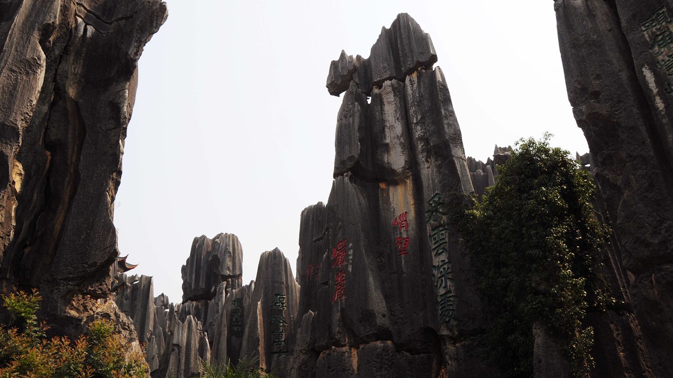 Stone Lesní v souladu Yunnan (1) (Khitan vlk práce) #14 - 1366x768