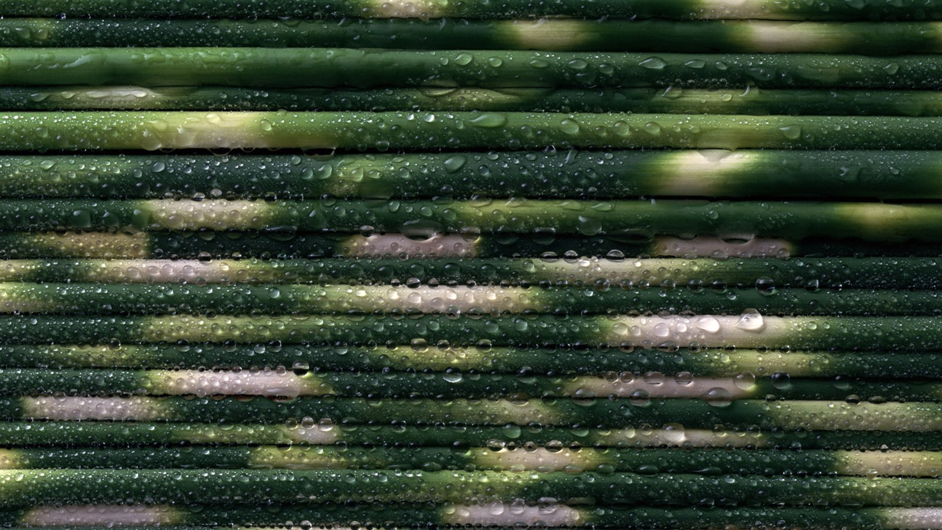 1680 꽃 녹색 잎 배경 벽지 (3) #7 - 1366x768