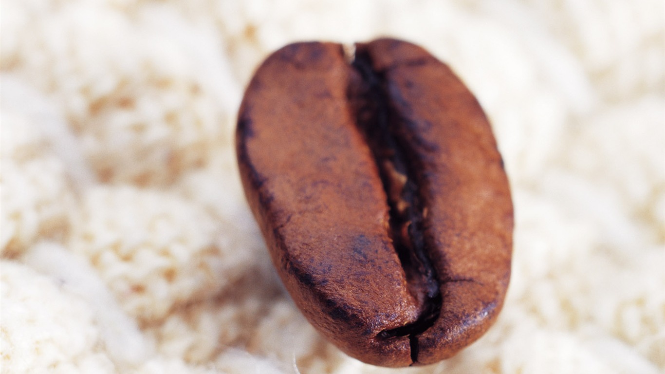 Coffee feature wallpaper (4) #5 - 1366x768