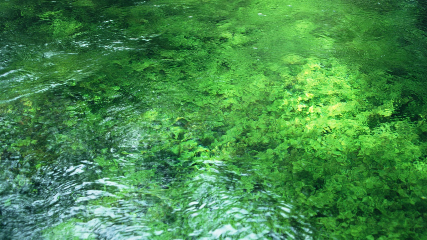 Stream Celovečerní Wallpaper (1) #1 - 1366x768