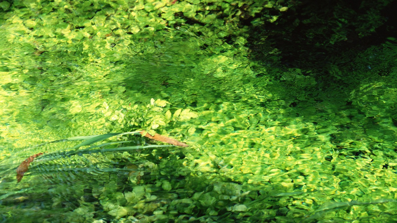 Stream Celovečerní Wallpaper (1) #18 - 1366x768