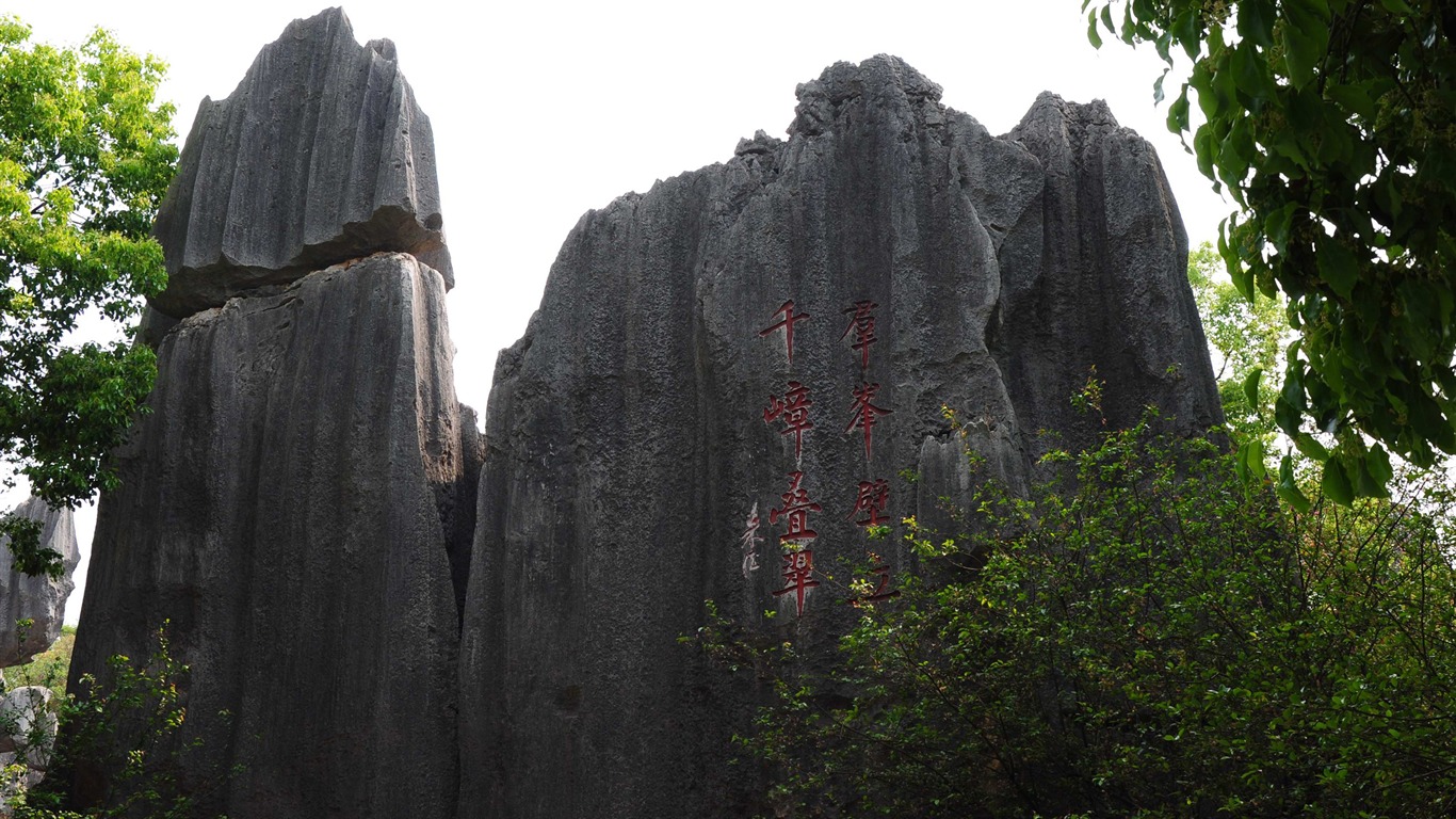 Stone Lesní v souladu Yunnan (2) (Khitan vlk práce) #9 - 1366x768