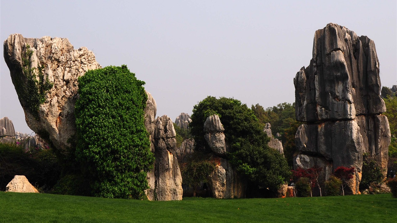 Stone Lesní v souladu Yunnan (2) (Khitan vlk práce) #14 - 1366x768