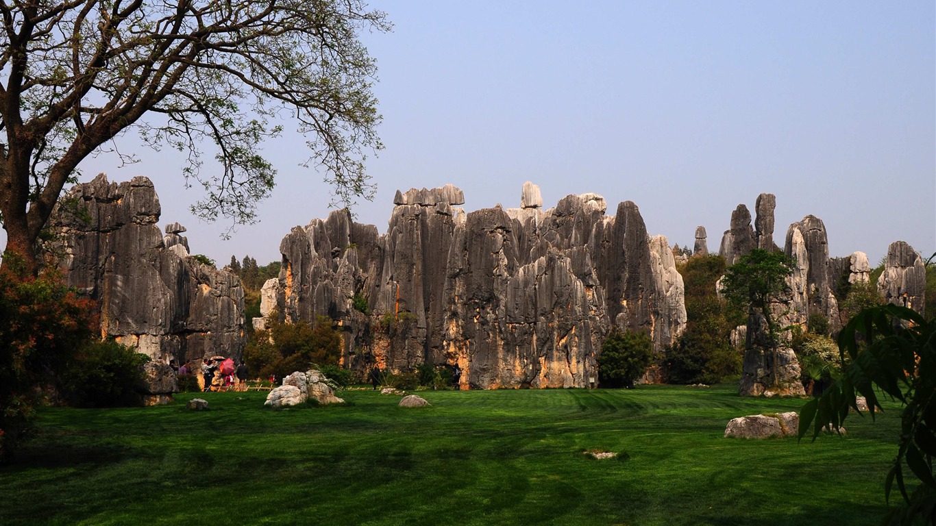 Stone Lesní v souladu Yunnan (2) (Khitan vlk práce) #20 - 1366x768