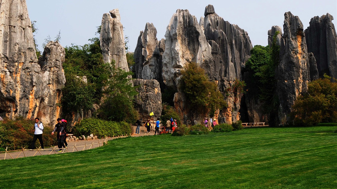 Stone Lesní v souladu Yunnan (2) (Khitan vlk práce) #21 - 1366x768