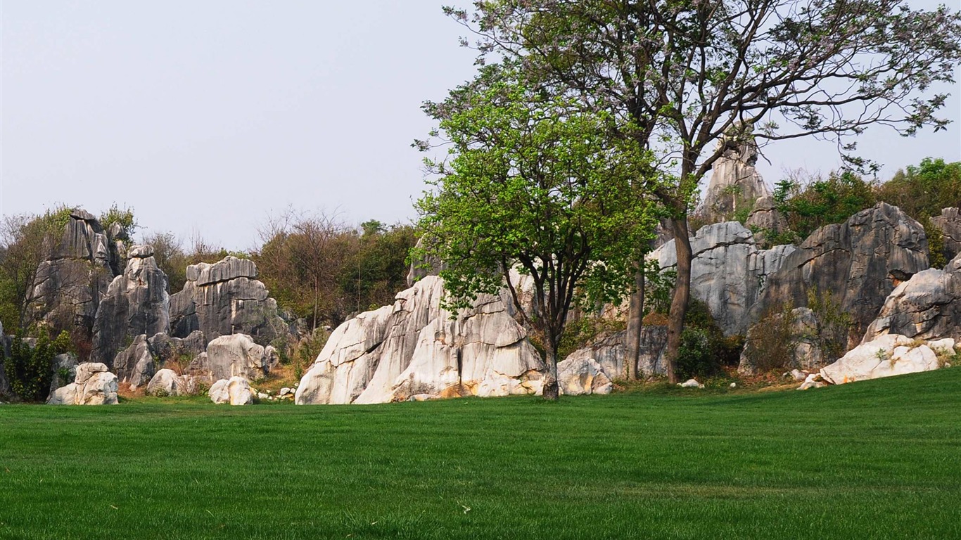 Stone Forest in Yunnan line (2) (Khitan wolf works) #27 - 1366x768