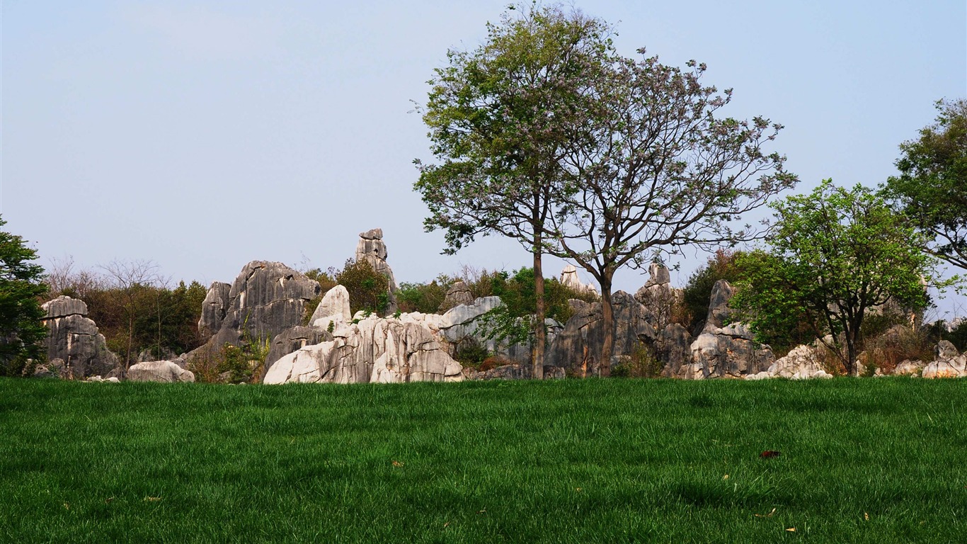 Stone Lesní v souladu Yunnan (2) (Khitan vlk práce) #28 - 1366x768