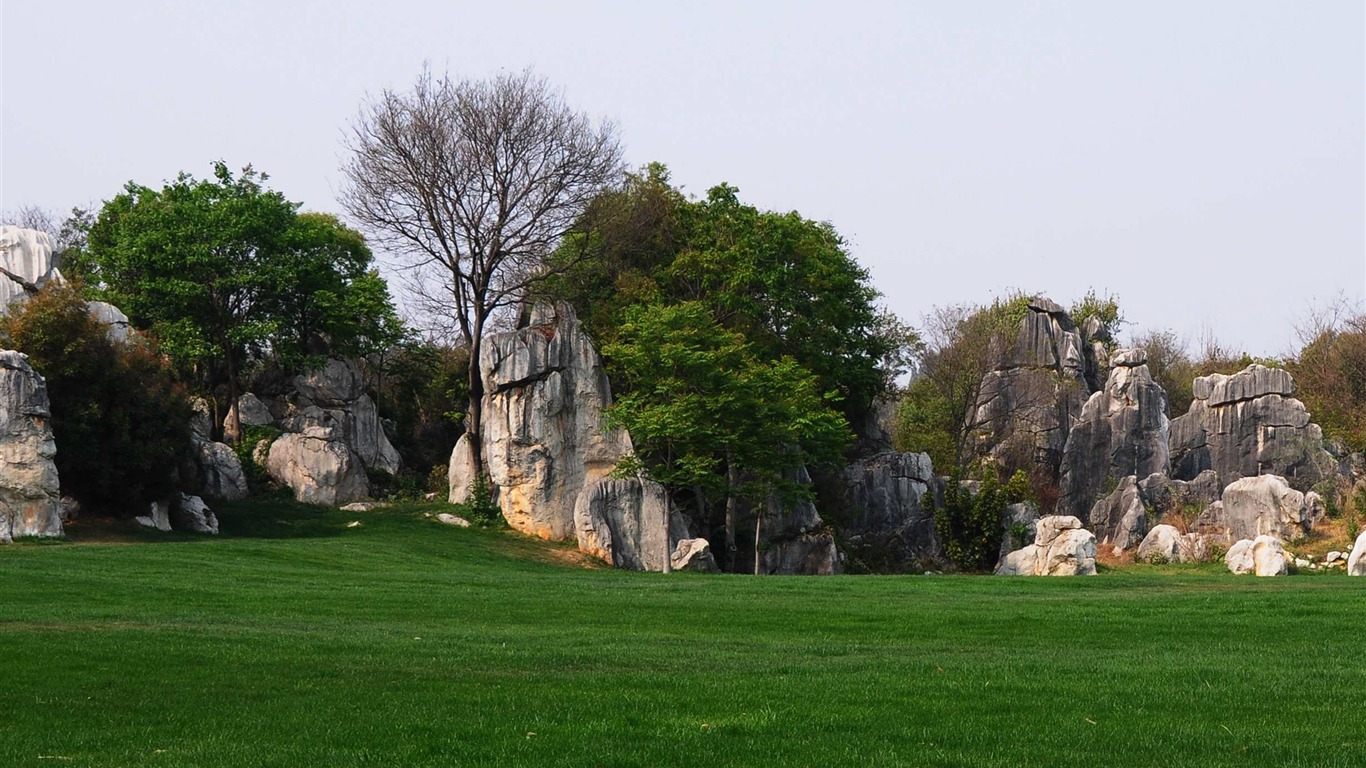 Stone Lesní v souladu Yunnan (2) (Khitan vlk práce) #34 - 1366x768
