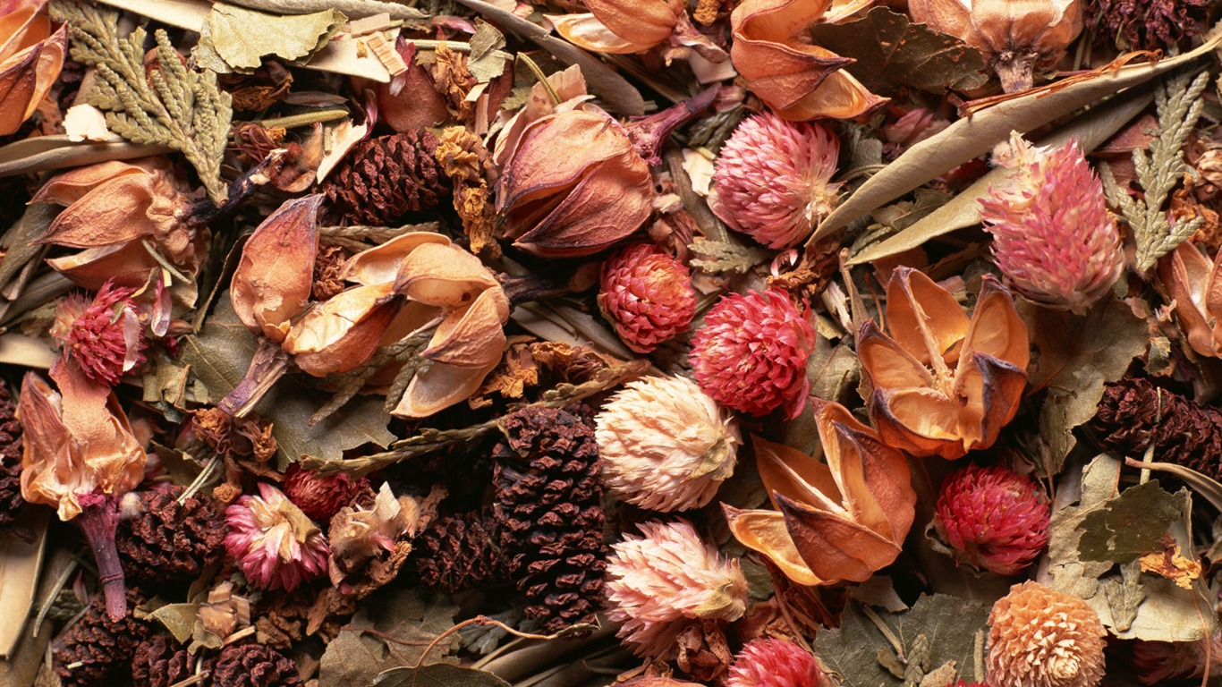 1680 fleurs vertes feuilles fond d'écran (6) #2 - 1366x768