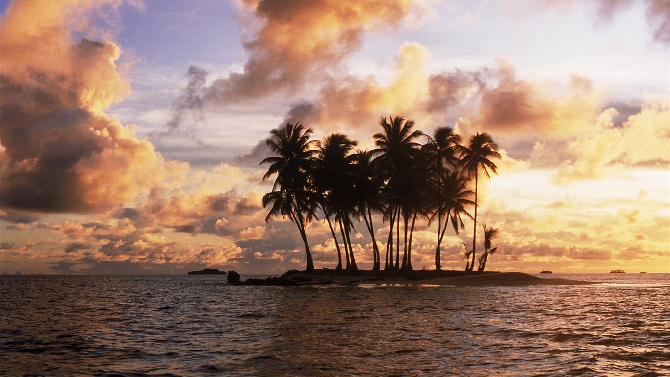 Palm tree sunset wallpaper (1) #18 - 1366x768