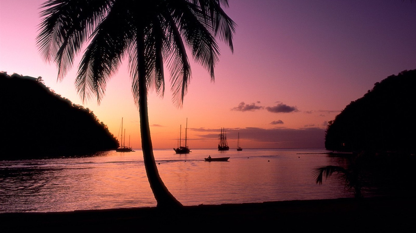 Palm tree sunset wallpaper (1) #19 - 1366x768