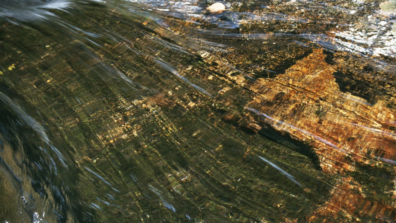 溪流特寫 壁紙(二) #2 - 1366x768