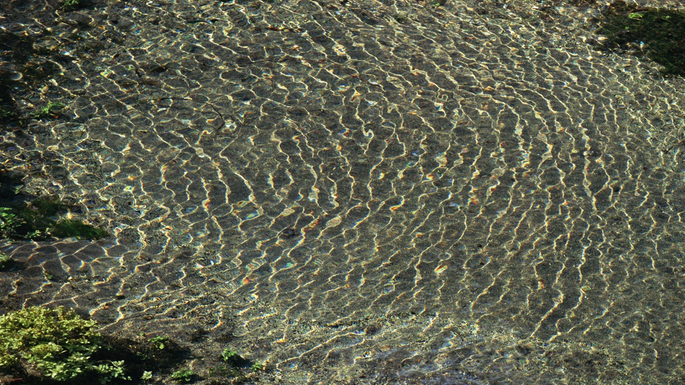 溪流特寫 壁紙(二) #4 - 1366x768
