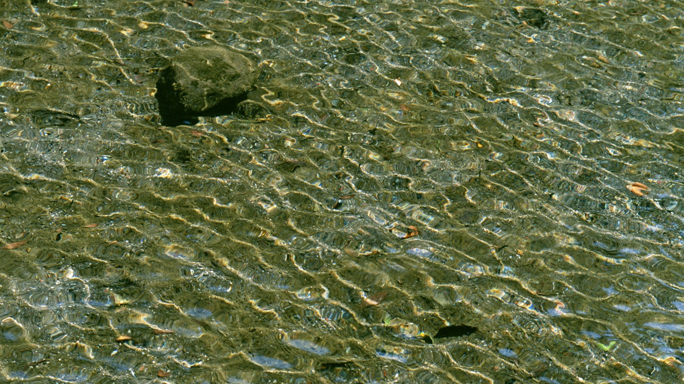 Stream Celovečerní Wallpaper (2) #5 - 1366x768